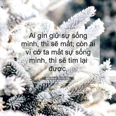 Picture 07 - Ma-thi-ơ 10:39 VIE - Ai gìn giữ sự sống mình, thì sẽ mất; - Bible Verse Picture