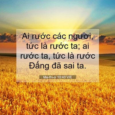 Picture 07 - Ma-thi-ơ 10:40 VIE - Ai rước các ngươi, tức là rước ta; ai - Bible Verse Picture