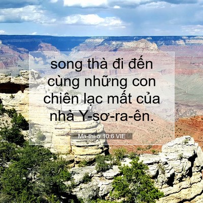 Picture 07 - Ma-thi-ơ 10:6 VIE - song thà đi đến cùng những con chiên - Bible Verse Picture