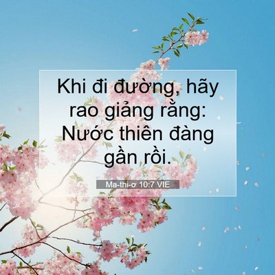 Picture 07 - Ma-thi-ơ 10:7 VIE - Khi đi đường, hãy rao giảng rằng: - Bible Verse Picture