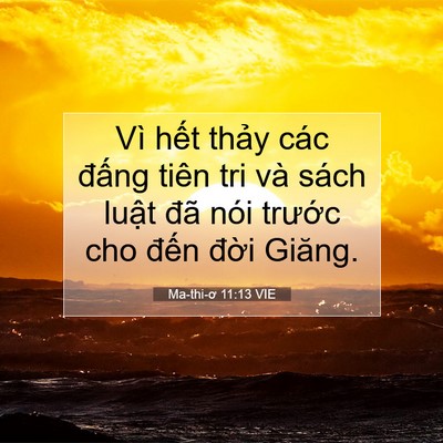 Picture 07 - Ma-thi-ơ 11:13 VIE - Vì hết thảy các đấng tiên tri và sách - Bible Verse Picture