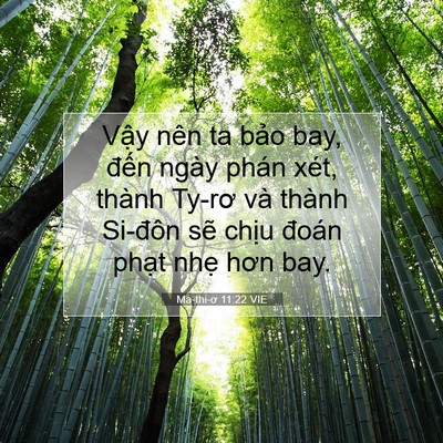 Picture 07 - Ma-thi-ơ 11:22 VIE - Vậy nên ta bảo bay, đến ngày phán xét, - Bible Verse Picture