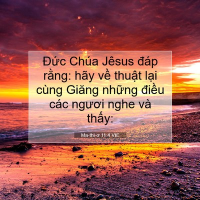 Picture 07 - Ma-thi-ơ 11:4 VIE - Đức Chúa Jêsus đáp rằng: hãy về - Bible Verse Picture