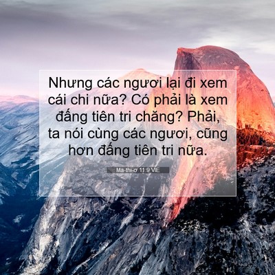 Picture 07 - Ma-thi-ơ 11:9 VIE - Nhưng các ngươi lại đi xem cái chi nữa? - Bible Verse Picture