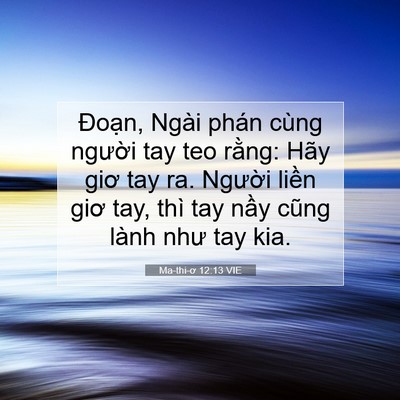Picture 07 - Ma-thi-ơ 12:13 VIE - Đoạn, Ngài phán cùng người tay teo - Bible Verse Picture