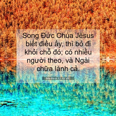 Picture 07 - Ma-thi-ơ 12:15 VIE - Song Đức Chúa Jêsus biết điều ấy, - Bible Verse Picture