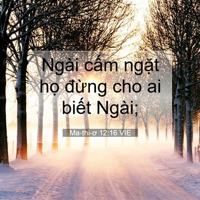 Picture 07 - Ma-thi-ơ 12:16 VIE - Ngài cấm ngặt họ đừng cho ai biết - Bible Verse Picture