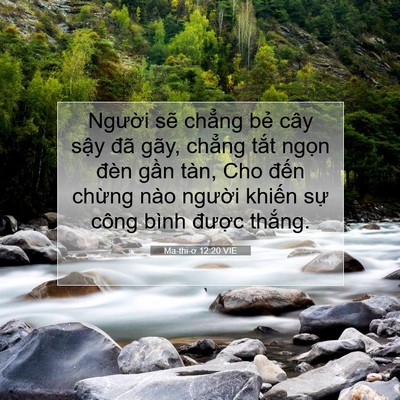 Picture 07 - Ma-thi-ơ 12:20 VIE - Người sẽ chẳng bẻ cây sậy đã gãy, - Bible Verse Picture