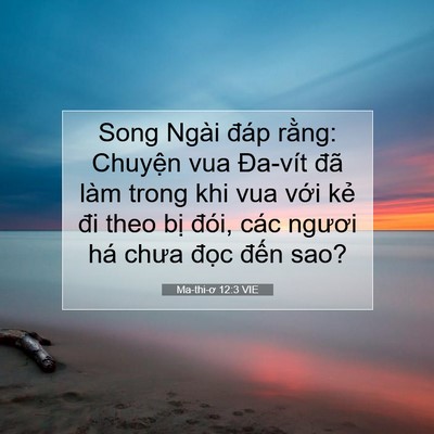 Picture 07 - Ma-thi-ơ 12:3 VIE - Song Ngài đáp rằng: Chuyện vua Đa-vít - Bible Verse Picture