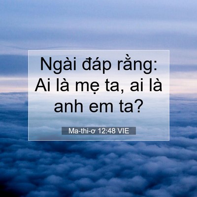 Picture 07 - Ma-thi-ơ 12:48 VIE - Ngài đáp rằng: Ai là mẹ ta, ai là anh em - Bible Verse Picture