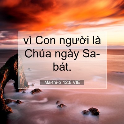 Picture 07 - Ma-thi-ơ 12:8 VIE - vì Con người là Chúa ngày - Bible Verse Picture