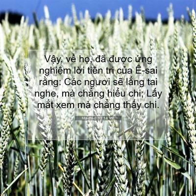 Picture 07 - Ma-thi-ơ 13:14 VIE - Vậy, về họ, đã được ứng nghiệm - Bible Verse Picture