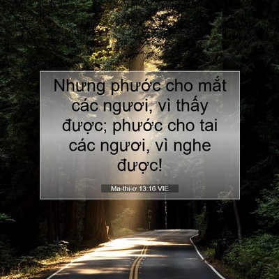 Picture 07 - Ma-thi-ơ 13:16 VIE - Nhưng phước cho mắt các ngươi, vì - Bible Verse Picture