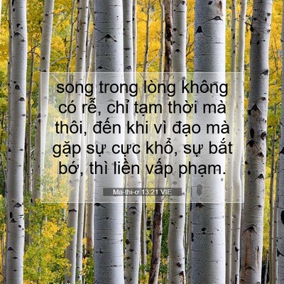 Picture 07 - Ma-thi-ơ 13:21 VIE - song trong lòng không có rễ, chỉ tạm - Bible Verse Picture