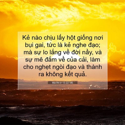 Picture 07 - Ma-thi-ơ 13:22 VIE - Kẻ nào chịu lấy hột giống nơi bụi - Bible Verse Picture