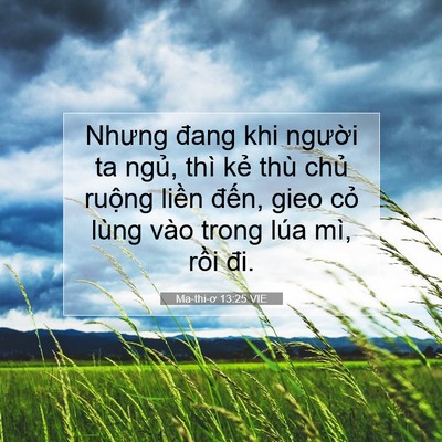 Picture 07 - Ma-thi-ơ 13:25 VIE - Nhưng đang khi người ta ngủ, thì kẻ - Bible Verse Picture