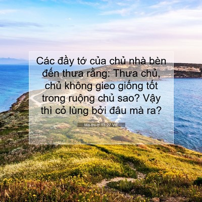 Picture 07 - Ma-thi-ơ 13:27 VIE - Các đầy tớ của chủ nhà bèn đến - Bible Verse Picture