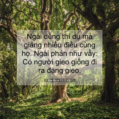 Picture 07 - Ma-thi-ơ 13:3 VIE - Ngài dùng thí dụ mà giảng nhiều điều - Bible Verse Picture