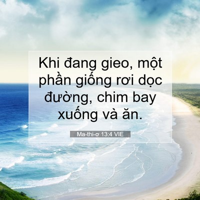 Picture 07 - Ma-thi-ơ 13:4 VIE - Khi đang gieo, một phần giống rơi dọc - Bible Verse Picture