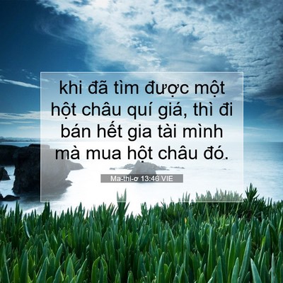 Picture 07 - Ma-thi-ơ 13:46 VIE - khi đã tìm được một hột châu quí - Bible Verse Picture