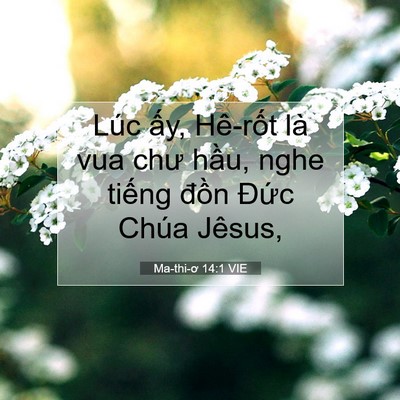 Picture 07 - Ma-thi-ơ 14:1 VIE - Lúc ấy, Hê-rốt là vua chư hầu, nghe - Bible Verse Picture