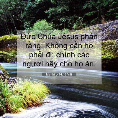 Picture 07 - Ma-thi-ơ 14:16 VIE - Đức Chúa Jêsus phán rằng: Không cần - Bible Verse Picture