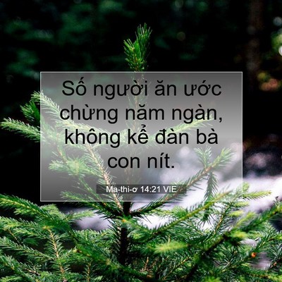 Picture 07 - Ma-thi-ơ 14:21 VIE - Số người ăn ước chừng năm ngàn, - Bible Verse Picture