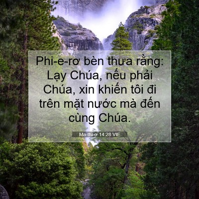 Picture 07 - Ma-thi-ơ 14:28 VIE - Phi-e-rơ bèn thưa rằng: Lạy Chúa, nếu - Bible Verse Picture