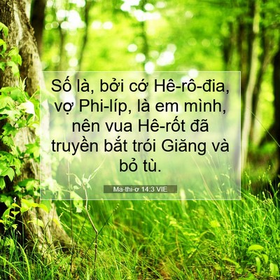 Picture 07 - Ma-thi-ơ 14:3 VIE - Số là, bởi cớ Hê-rô-đia, vợ Phi-líp, - Bible Verse Picture