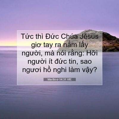 Picture 07 - Ma-thi-ơ 14:31 VIE - Tức thì Đức Chúa Jêsus giơ tay ra nắm - Bible Verse Picture