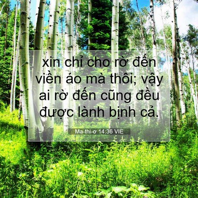 Picture 07 - Ma-thi-ơ 14:36 VIE - xin chỉ cho rờ đến viền áo mà thôi; - Bible Verse Picture