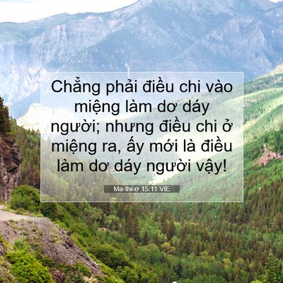 Picture 07 - Ma-thi-ơ 15:11 VIE - Chẳng phải điều chi vào miệng làm dơ - Bible Verse Picture