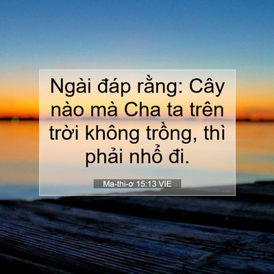Picture 07 - Ma-thi-ơ 15:13 VIE - Ngài đáp rằng: Cây nào mà Cha ta trên - Bible Verse Picture