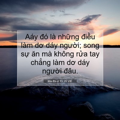 Picture 07 - Ma-thi-ơ 15:20 VIE - Aáy đó là những điều làm dơ dáy - Bible Verse Picture