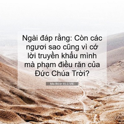 Picture 07 - Ma-thi-ơ 15:3 VIE - Ngài đáp rằng: Còn các ngươi sao cũng - Bible Verse Picture