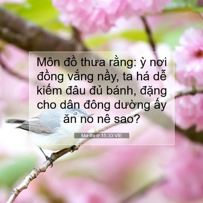 Picture 07 - Ma-thi-ơ 15:33 VIE - Môn đồ thưa rằng: ỳ nơi đồng vắng - Bible Verse Picture