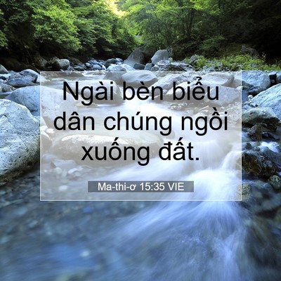 Picture 07 - Ma-thi-ơ 15:35 VIE - Ngài bèn biểu dân chúng ngồi xuống - Bible Verse Picture