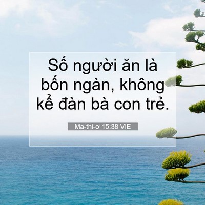 Picture 07 - Ma-thi-ơ 15:38 VIE - Số người ăn là bốn ngàn, không kể - Bible Verse Picture