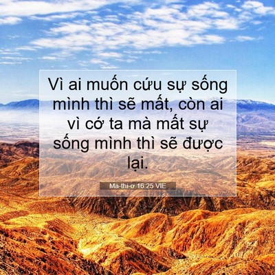 Picture 07 - Ma-thi-ơ 16:25 VIE - Vì ai muốn cứu sự sống mình thì sẽ - Bible Verse Picture