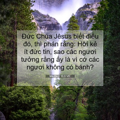 Picture 07 - Ma-thi-ơ 16:8 VIE - Đức Chúa Jêsus biết điều đó, thì - Bible Verse Picture