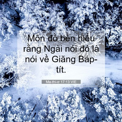 Picture 07 - Ma-thi-ơ 17:13 VIE - Môn đồ bèn hiểu rằng Ngài nói đó là - Bible Verse Picture