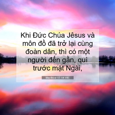 Picture 07 - Ma-thi-ơ 17:14 VIE - Khi Đức Chúa Jêsus và môn đồ đã trở - Bible Verse Picture