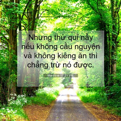Picture 07 - Ma-thi-ơ 17:21 VIE - Nhưng thứ quỉ nầy nếu không cầu - Bible Verse Picture