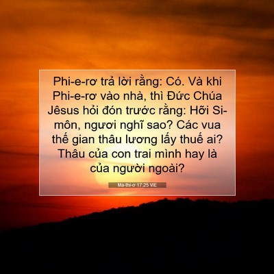 Picture 07 - Ma-thi-ơ 17:25 VIE - Phi-e-rơ trả lời rằng: Có. Và khi - Bible Verse Picture