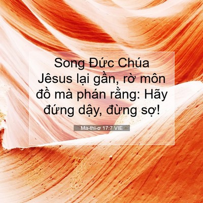 Picture 07 - Ma-thi-ơ 17:7 VIE - Song Đức Chúa Jêsus lại gần, rờ môn - Bible Verse Picture