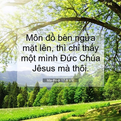 Picture 07 - Ma-thi-ơ 17:8 VIE - Môn đồ bèn ngửa mặt lên, thì chỉ - Bible Verse Picture