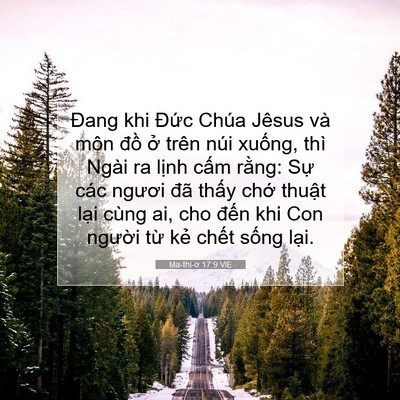 Picture 07 - Ma-thi-ơ 17:9 VIE - Đang khi Đức Chúa Jêsus và môn đồ ở - Bible Verse Picture
