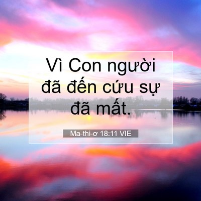 Picture 07 - Ma-thi-ơ 18:11 VIE - Vì Con người đã đến cứu sự đã - Bible Verse Picture