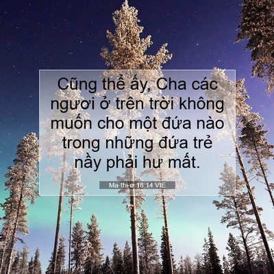 Picture 07 - Ma-thi-ơ 18:14 VIE - Cũng thể ấy, Cha các ngươi ở trên - Bible Verse Picture