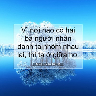 Picture 07 - Ma-thi-ơ 18:20 VIE - Vì nơi nào có hai ba người nhân danh ta - Bible Verse Picture